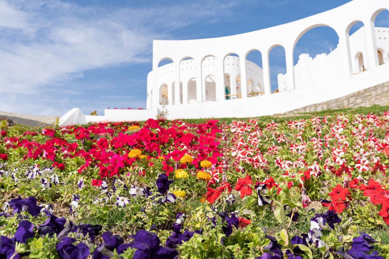 Benben By Dhara Hotels - Adults Only Aswan Exterior photo The Flower Festival in the city of Akita